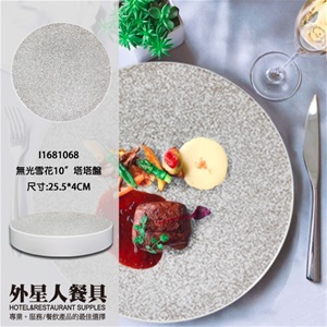 無光雪花10”塔塔盤