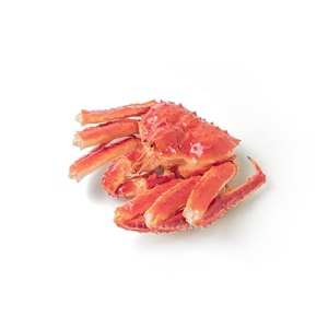 模型 ☆ 擬真 鱈場蟹 裝飾｜縮腳 ｜33 × 28 × 11 ㎝｜單個