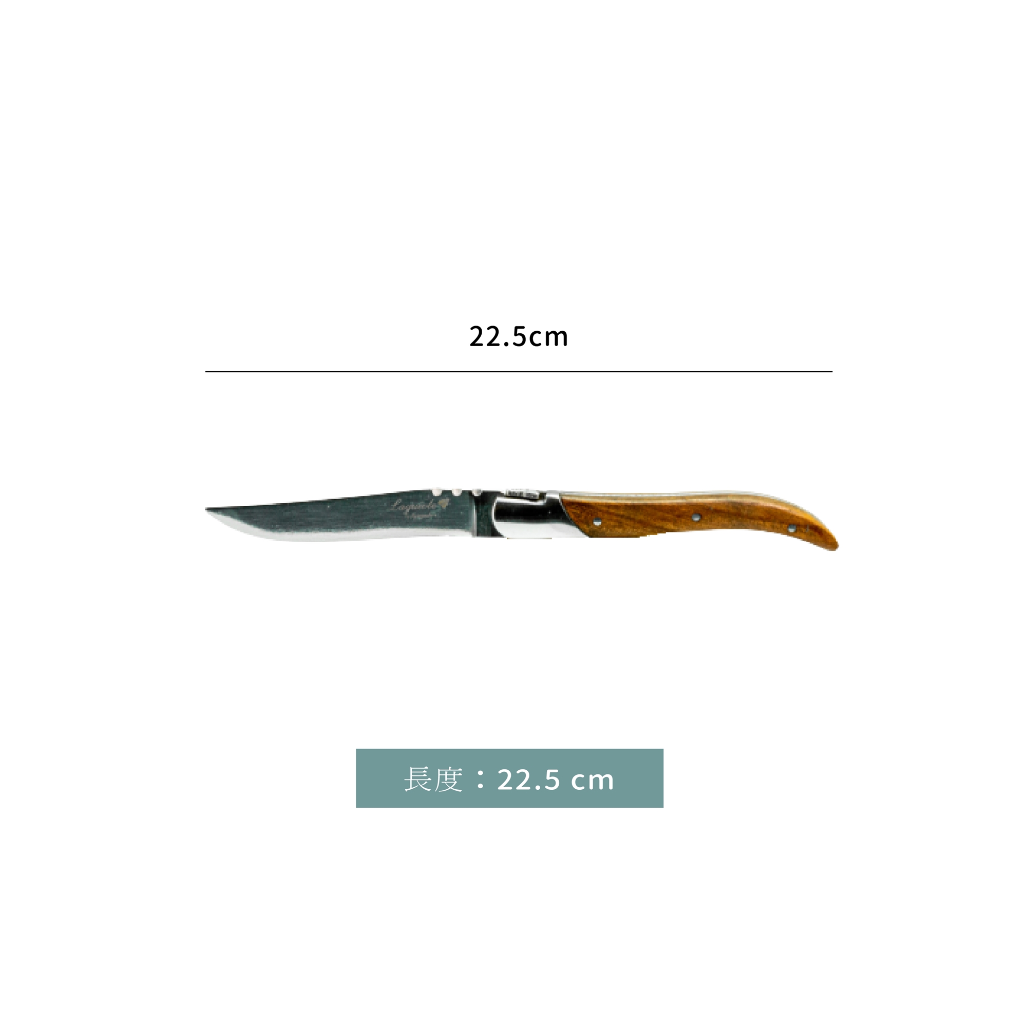橄欖木紋 西餐刀 22.5 cm｜單個